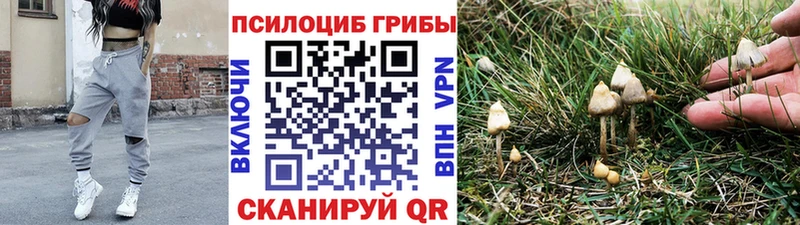 Псилоцибиновые грибы Cubensis  ОМГ ОМГ вход  Клинцы 